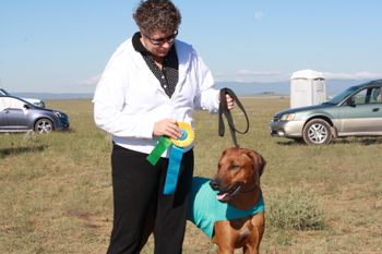 Bob and his Best of Breed in Field ribbon.
