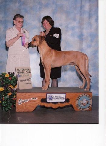 Krystal Kobe Bear, CGC
