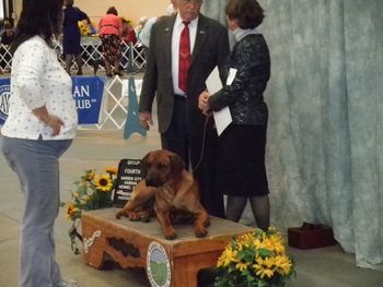 Relaxing and chatting with Mr. Trotter after our Group 4 win - Garden City, KS - March 2011
