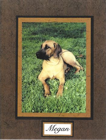 Krystal Megan O'Rye - Loved by Gail Kingrey.
