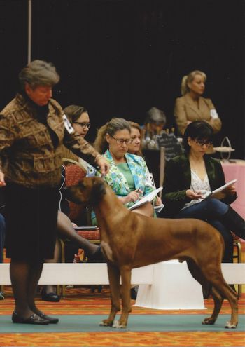Axl & Kathleen nationals 2018
