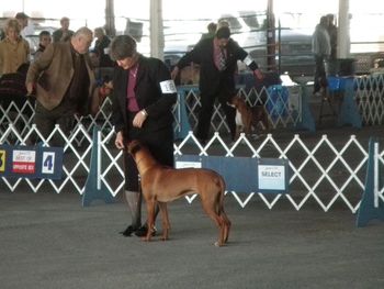 El Paso, TX - Dec. 2010
