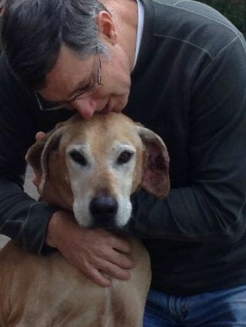 The Harvard Family's Great Guy!!
Krystal Kobe Bear
Dec. 8, 2001 - Dec. 3, 2013
