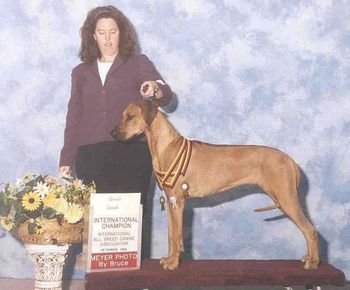 Int'l CH, CH Krystal Kanzi Treasure, JC - loved and missed by Kelly and Mark
