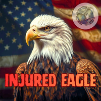 Injured Eagle by Michael R. Casali