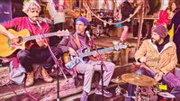 Shaggy Greys Live from Bierfabriek Amsterdam 