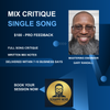 Mix Critique - Single Song