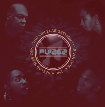 artist-multi-instrumentalist  /writer-composer/producer/engineer

