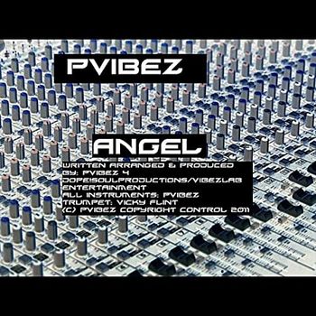 solo artist-multi instrumentalist/writer-composer/producer/engineer

