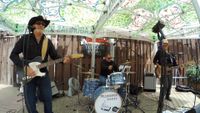 Transistor Rodeo