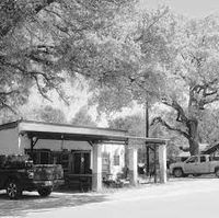 Loebau Store