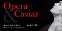 Opera & Caviar Pop-Up Concert Series