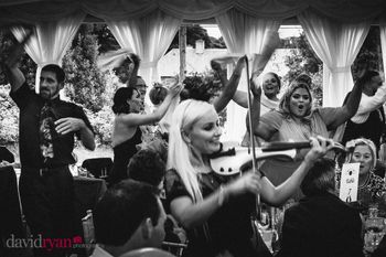 David Ryan photography
