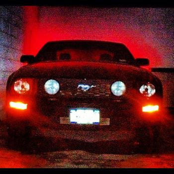 Animal - Mustang GT Fastback 5 speed
