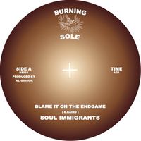 The Soul Immigrants