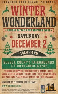 11th HOUR RESCUE WINTER WONDERLAND  