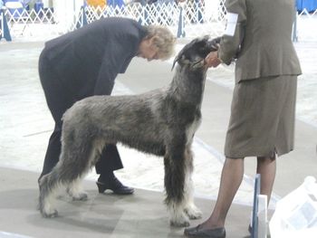 27 months old
