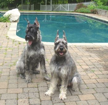 Hudson and Jurnee
