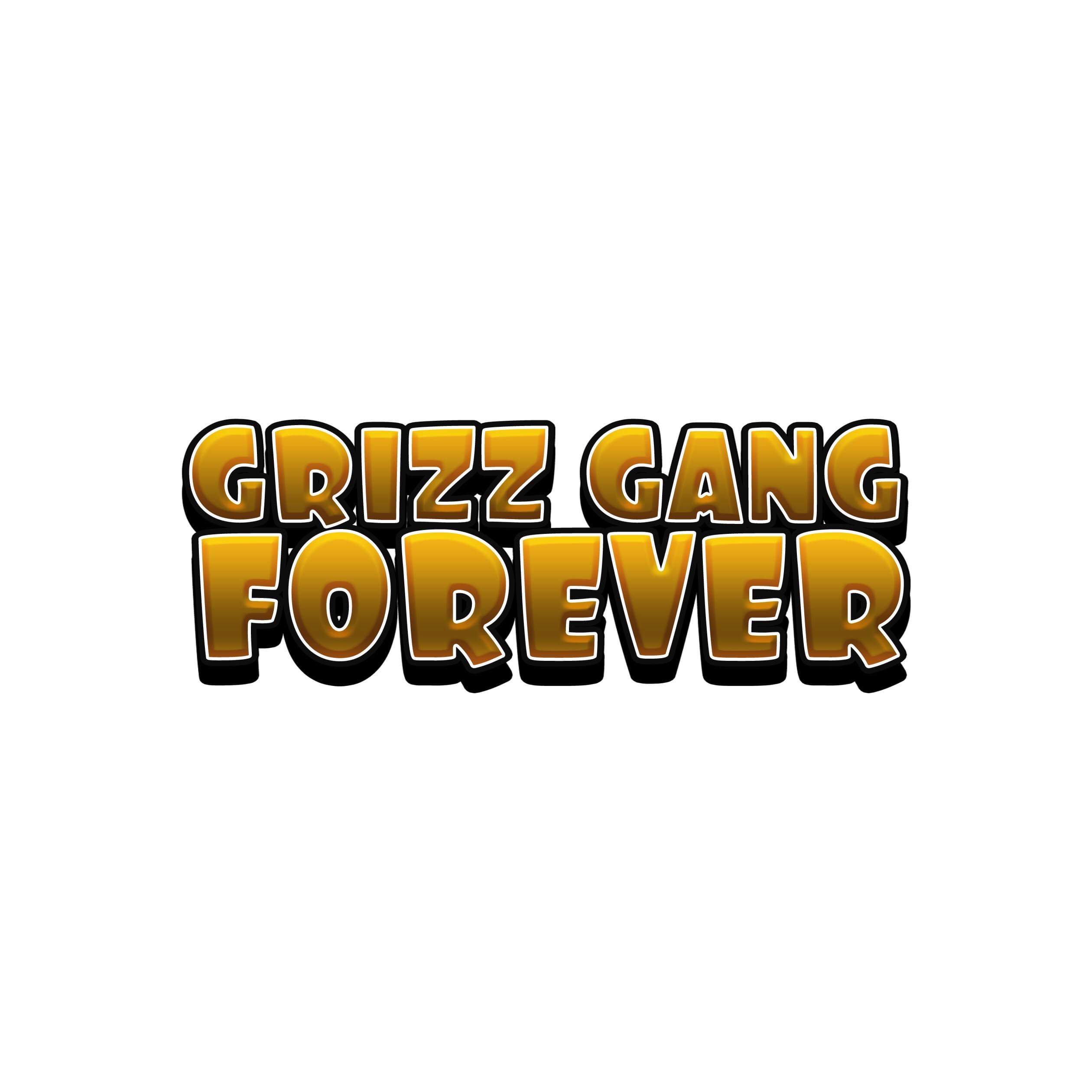 Real studio photo for Grizz Gang Forever Studios LLC