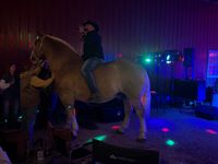 DR. Todd’s annual barn party (open to the public)