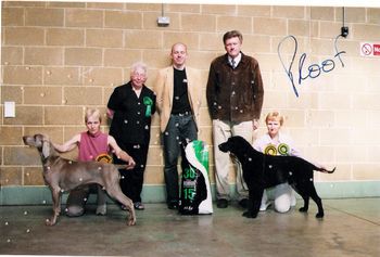BIS at S of England Gundog

