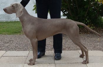 Aged 14 months
