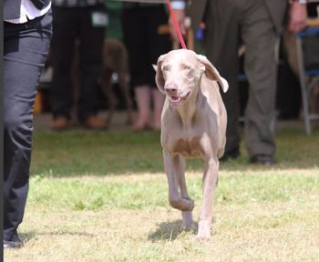 Winning res cc at 13 months
