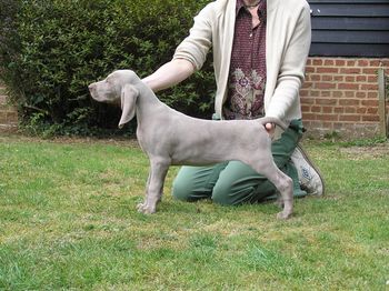 Tula 9 weeks
