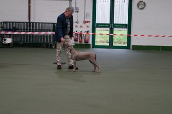 Practising at 4 months
