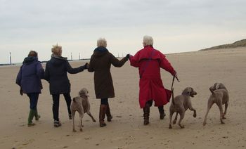 Happy days with good friends

