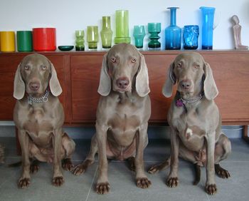 Ruby , Sonny, Casey.
