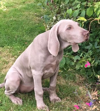 Smelling the roses.
