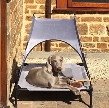 posh outdoor bed
