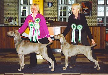 BIS at WCGB Show
