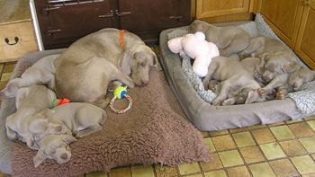 With her babies
