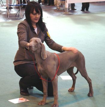 Almost 8 months old, winning at LKA
