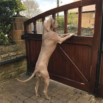 Looking out
