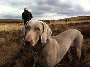 On the grouse moors
