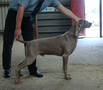 Roo September 2010
