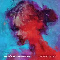 Wasn't You Wasn't Me by Brady Beard