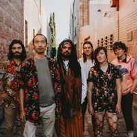 Firetail Papier Mache Single Tour