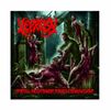 Spiritual Enlightenment Through Disembowelment - CD
