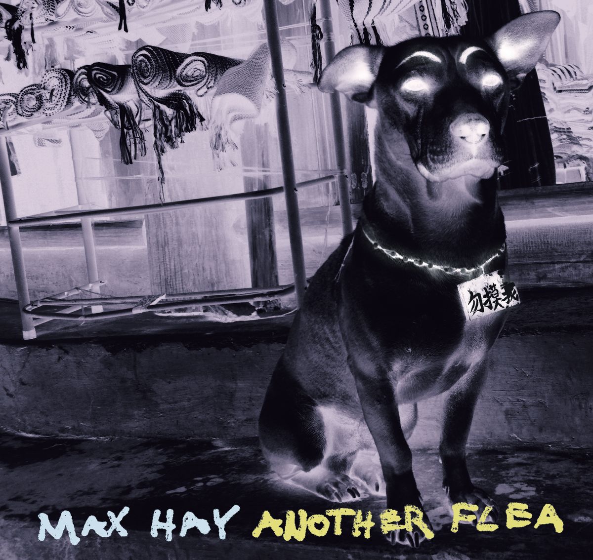 Another Flea - CD + Download