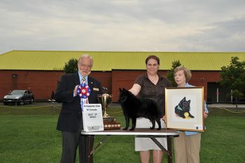 Legend wins SCC National Specialty at 22 months old.

