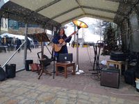 Leslie Browning Live Music