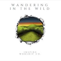 Wandering in the Wild