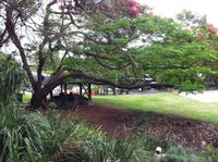 Sounds at Paradise Park + Pizza and music!