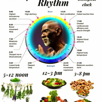Dr Sebi's Guide on Alkaline and Herbal Medicine 