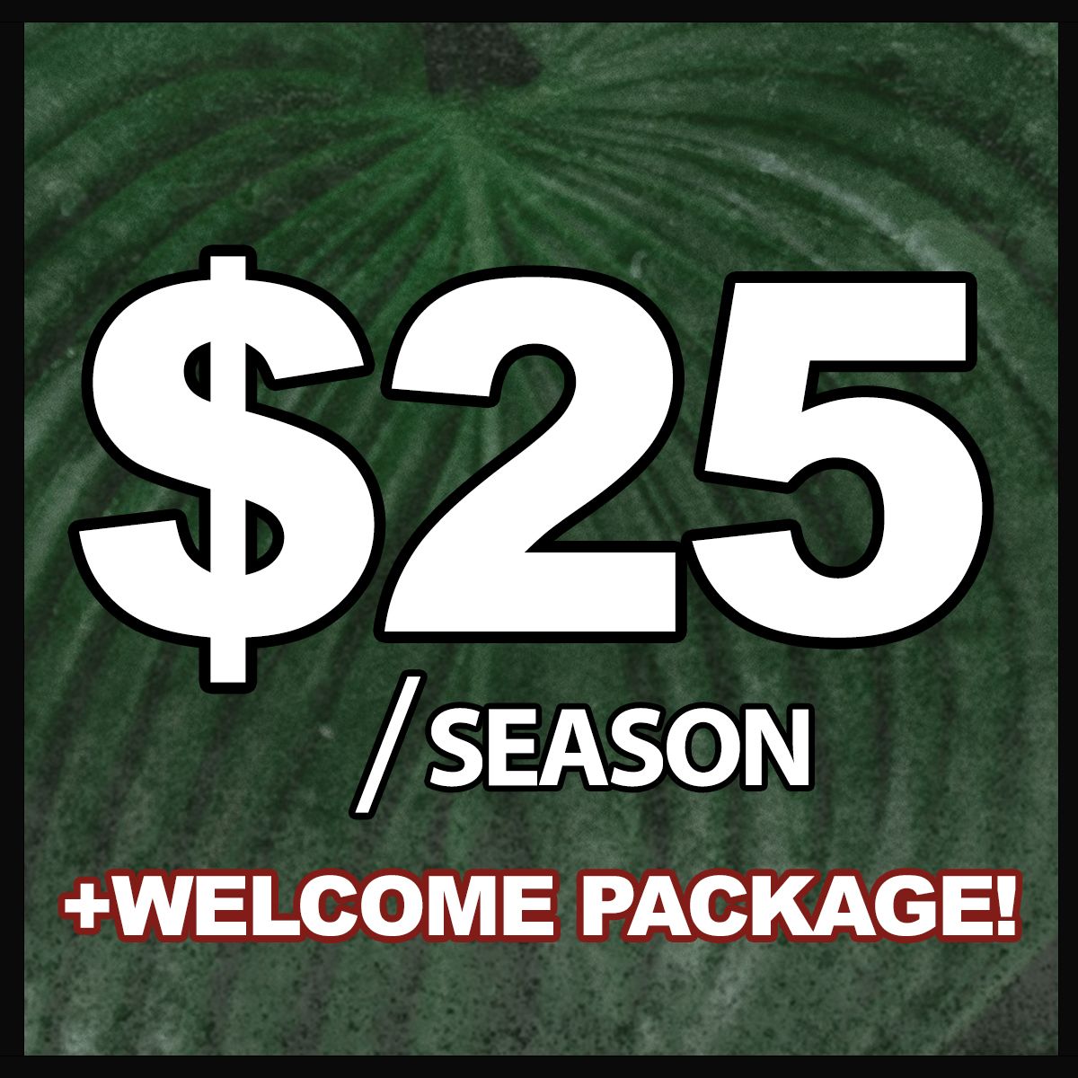 Season Pass (Jan-Dec 2021)