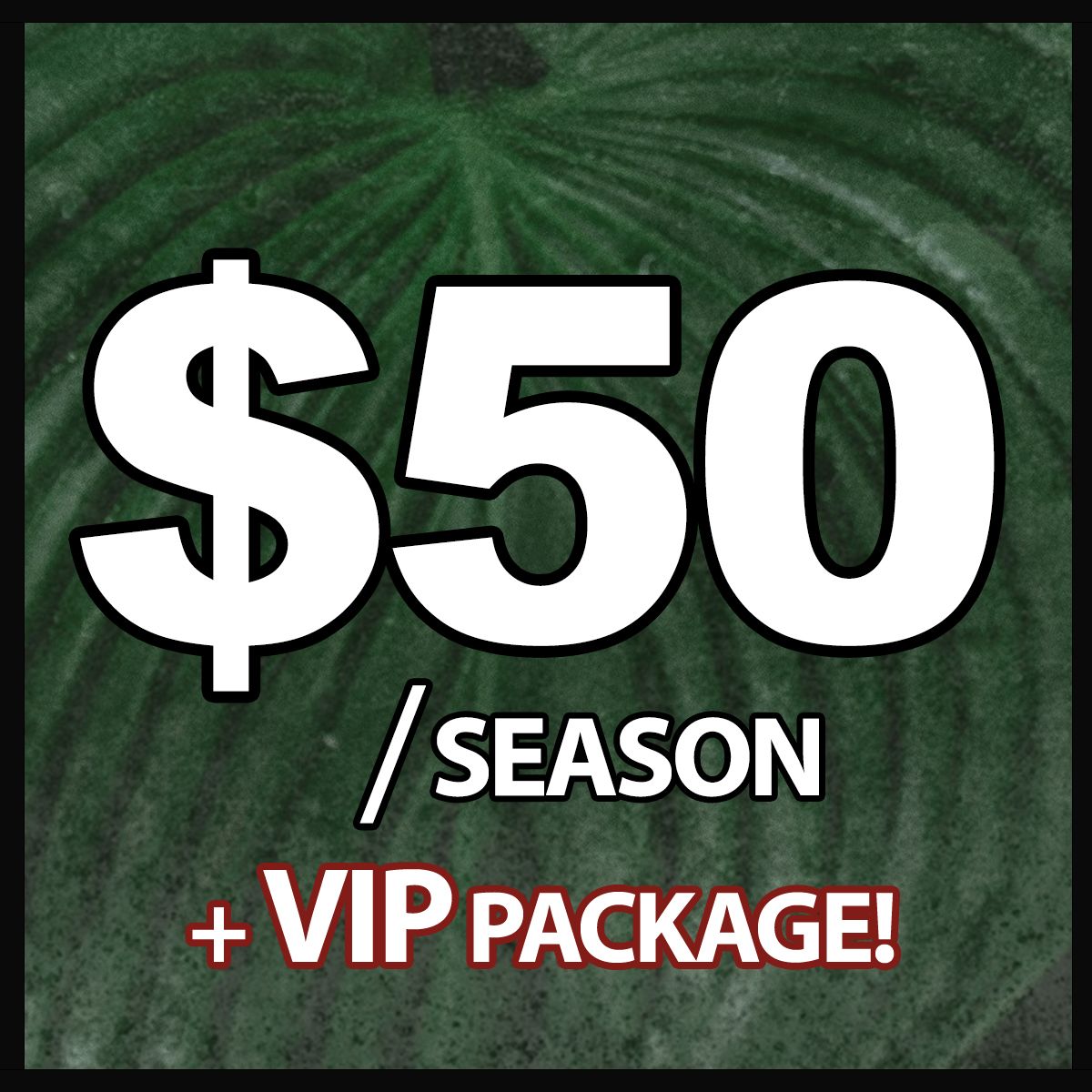 VIP Pass (Jan-Dec 2021)